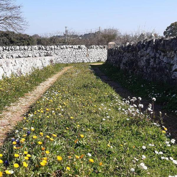 B&B Trulli Sotto La Cupa Martina Franca Exterior photo